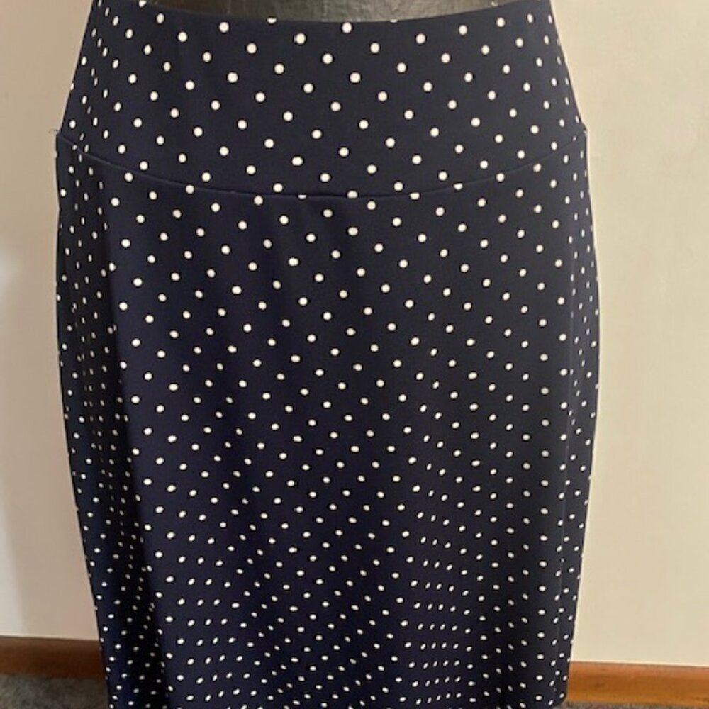 Talbots Navy Blue/White Polka Dot A-line skirt, size 2XP
